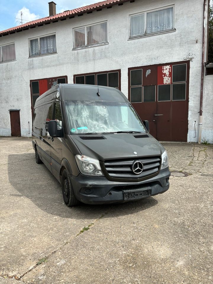 Mercedes Benz Sprinter 316 Maxi in Albstadt