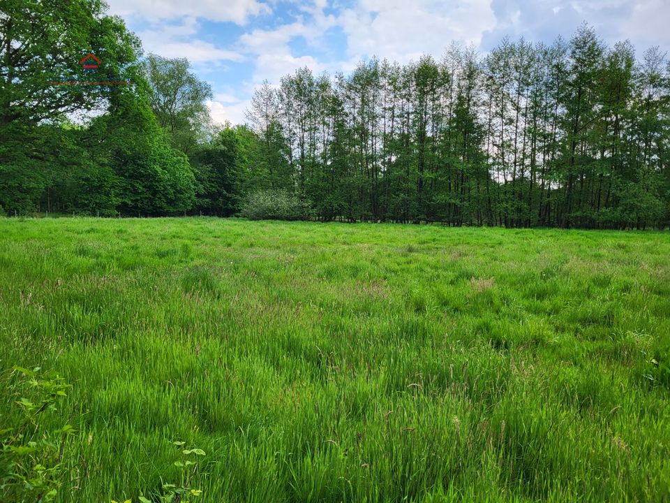 Pferde- und Naturliebhaber aufgepasst. Baugrundstück  / Grundstück zur Größe von 5.517 qm in der Schwaneburger Wieke. Einmalig schöne Lage. Positive Bauvoranfrage liegt vor. in Friesoythe