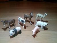 Schleich Kamel Panda Kälbchen Eisbär Esel Pferd Ferkel Nordrhein-Westfalen - Korschenbroich Vorschau