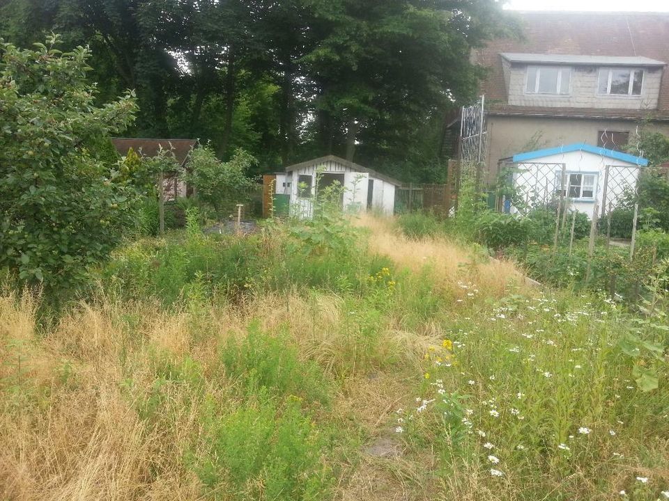 Fenster Reinigung , Gartenarbeiten usw. in Leipzig