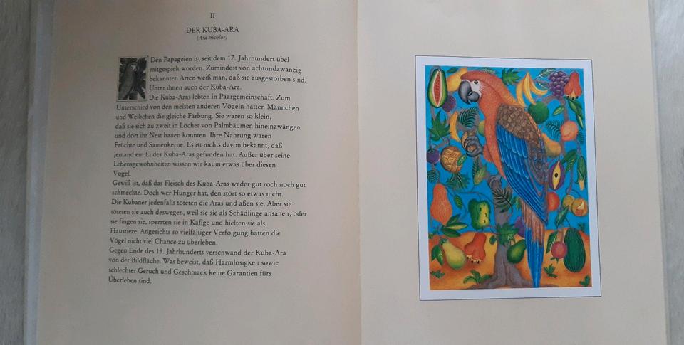 Vom Vogel Dodo Shawn Rice Antiquität Bilderbuch Annette Betz in Petting