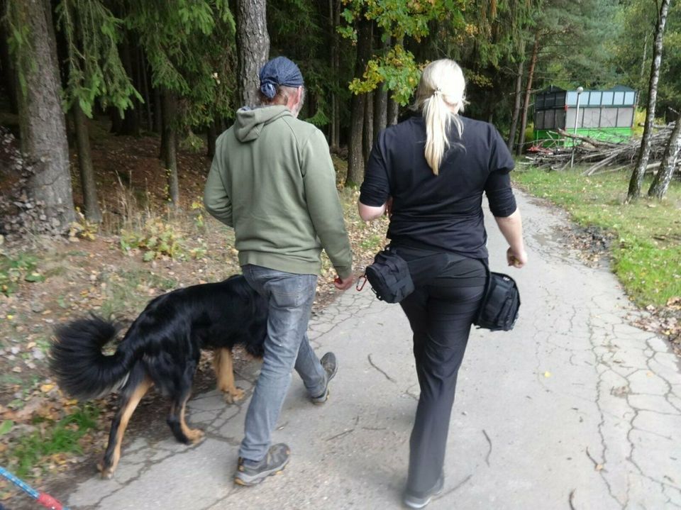 Leinenführigkeit, Hundetraining, Hundeerziehung, Rückruf in Haselbach b. Mitterfels