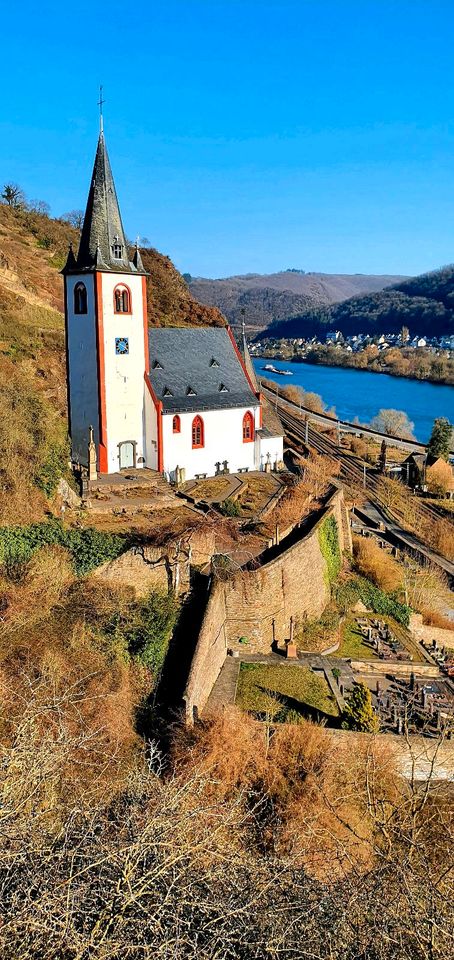 Ferienhaus an der Mosel Fewo Moselblick Familienurlaub Hunde Bike in Hatzenport