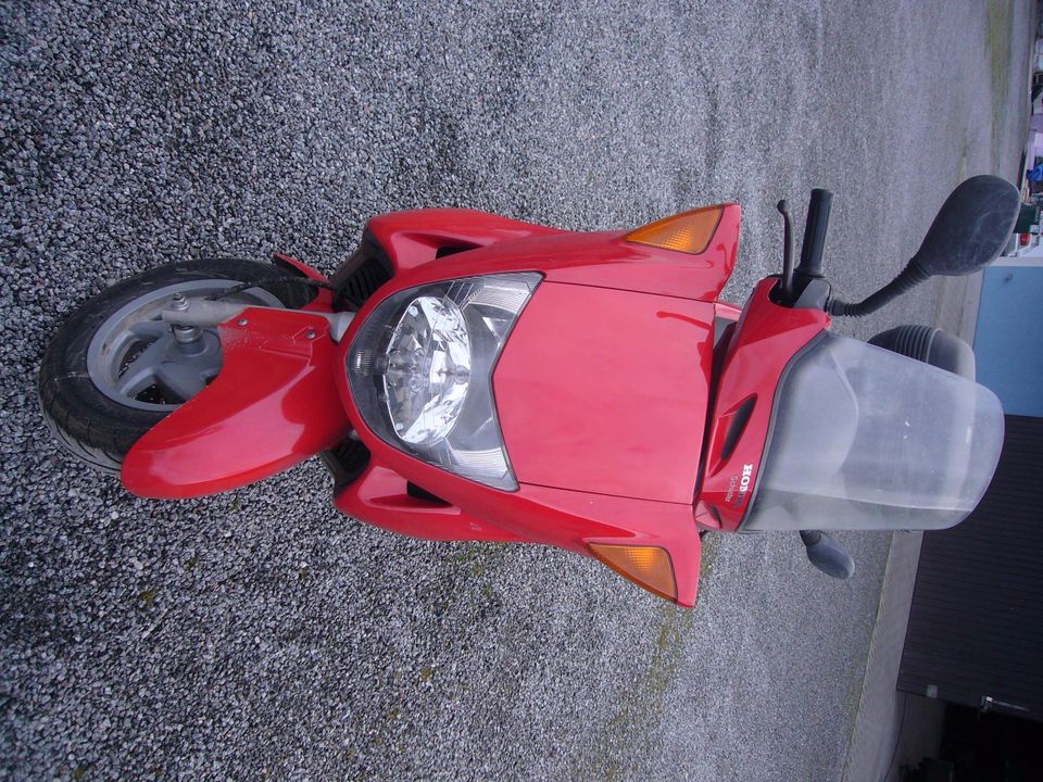 Motorroller Honda Pantheon JF05 125 cm³ zu verkaufen in Heppenheim (Bergstraße)
