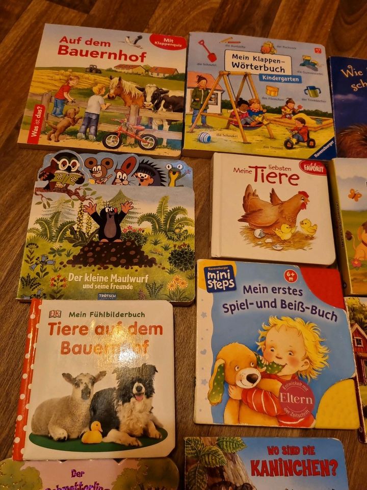 Pappbilderbuch Kinderbücher Babybuch in Bad Dueben