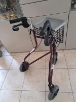 Rollator neuwertig (NP 99€) Mecklenburg-Strelitz - Landkreis - Neustrelitz Vorschau