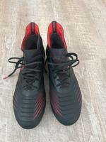 Adidas Predator Rheinland-Pfalz - Oberstadtfeld Vorschau