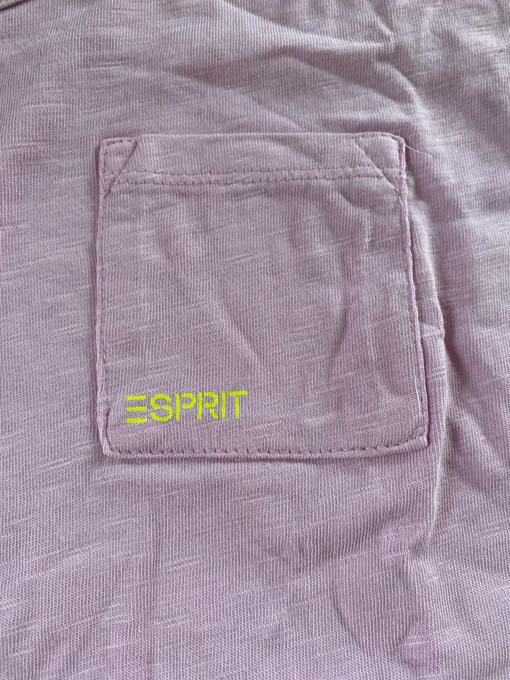 NEU Esprit Shirt Gr. 128/134 in Troisdorf