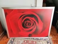 XXL Bild Rose 100x140 cm Bayern - Schwaig Vorschau