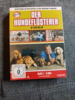 DVDStaffel 1  Cesar Millan "Der Hundeflüsterer" OVP, eingeschweiß Brandenburg - Schildow Vorschau