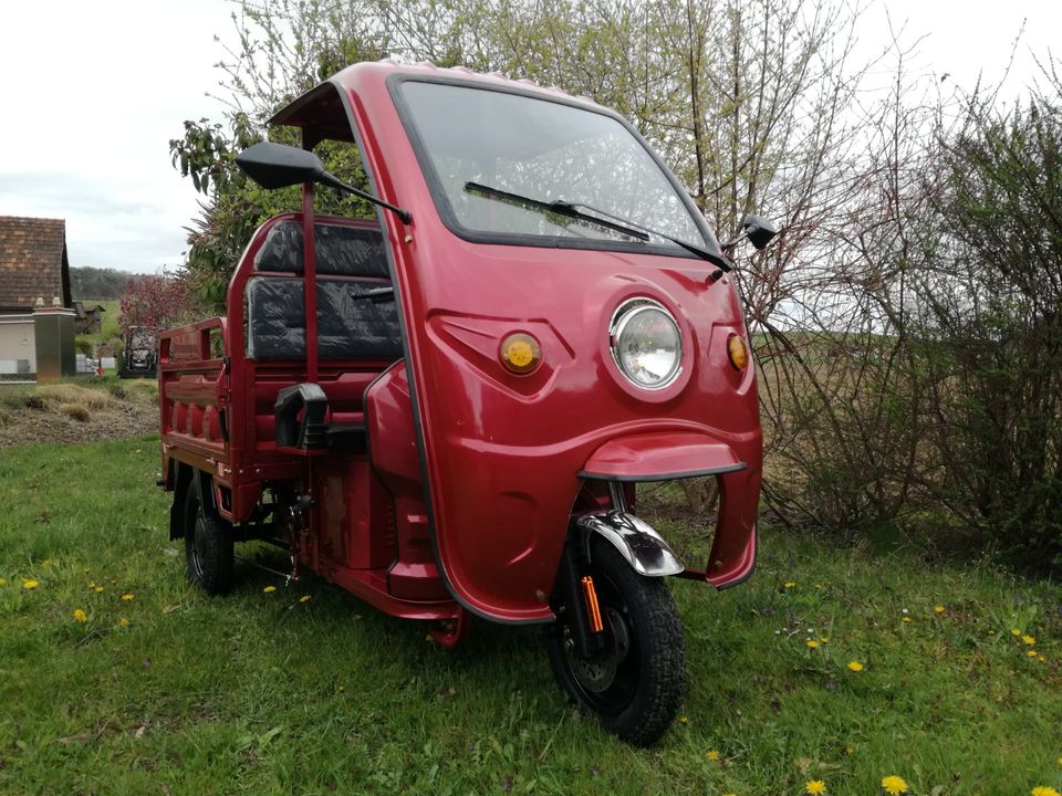 Elektro Transportrad mit Dach in Neuhaus am Inn