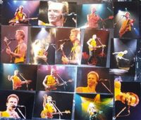 STING 16 echte Fotos vom Konzert 1991 in der Sporthalle Köln Nordrhein-Westfalen - Neuss Vorschau