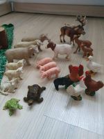 Schleich Tiere hier: Bauernhoftiere, Gehege oder Hindernisse Schleswig-Holstein - Wilster Vorschau