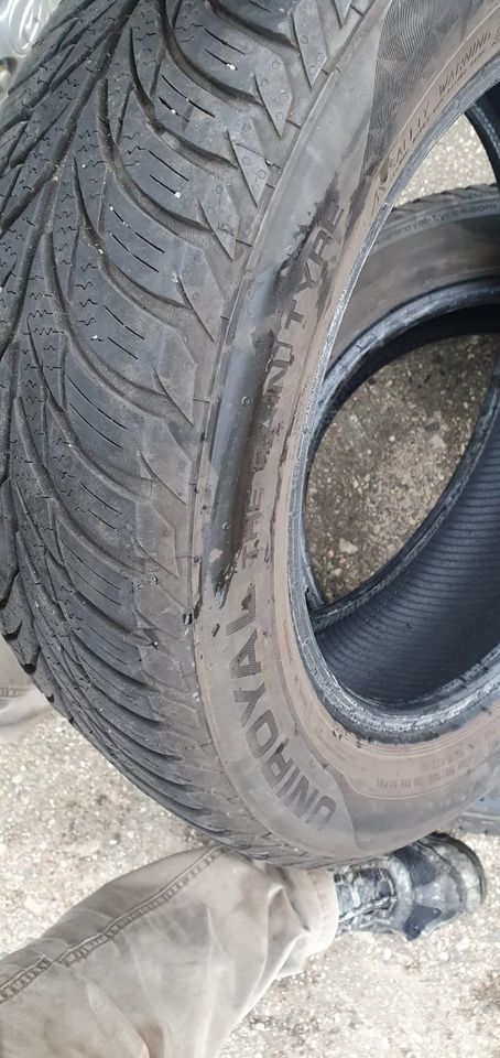 2 Stk. Allwetterreifen UNIROYAL ALLSEASONEXPERT 185/60 R15 88 T in Colditz