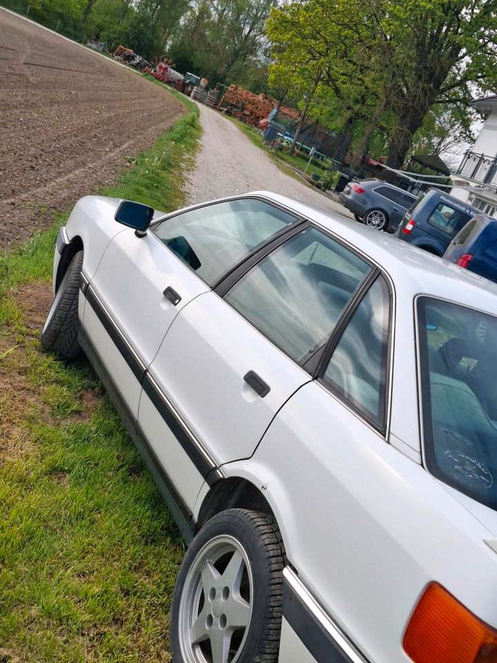 Audi 90 kein Quartto hat h Kennzeichen in Moos