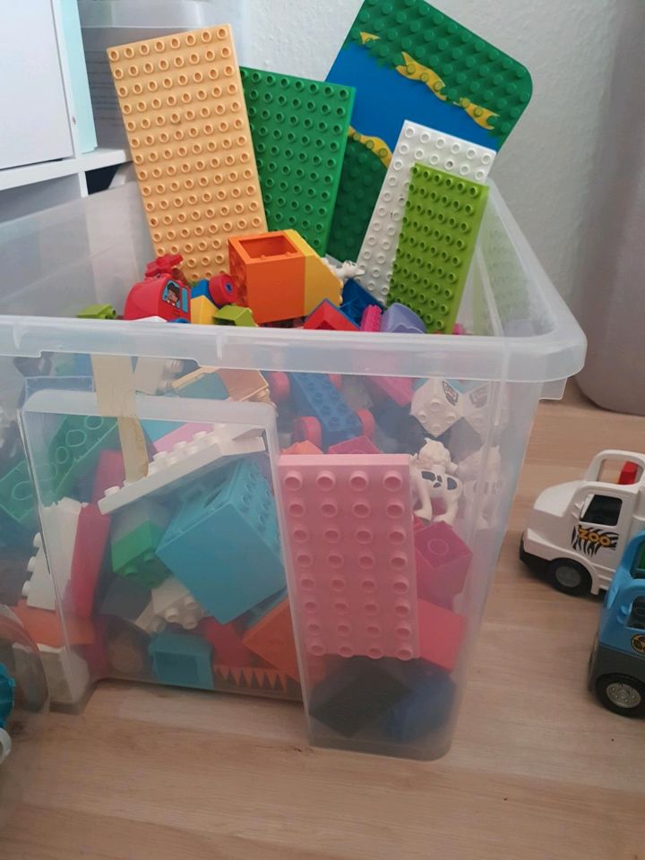 Lego Duplo Steine/Fahrzeuge/Bauelemente/Tiere in Oberkrämer