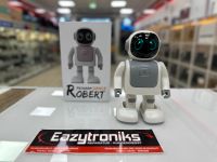 Robert - Roboter mit Bluetooth Speaker und Programmierung Neu Nordrhein-Westfalen - Mönchengladbach Vorschau