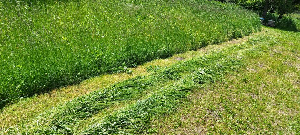 Hochgrasmäher mieten Wiesenmäher Schlegelmulcher kein Balkenmäher in Fridolfing