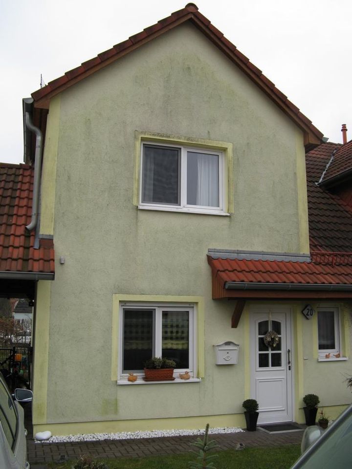 Pflasterreinigung Steinreinigung Terrassen Reinigung in Loitz (Bei Demmin)