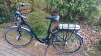 E-Bike Curtis 28 Zoll 7-Gang Nabenschaltung  Rücktritt Nordrhein-Westfalen - Tecklenburg Vorschau