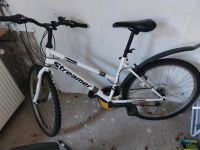 Streamer Fahrrad 26 Zoll Schleswig-Holstein - Stapelfeld Vorschau