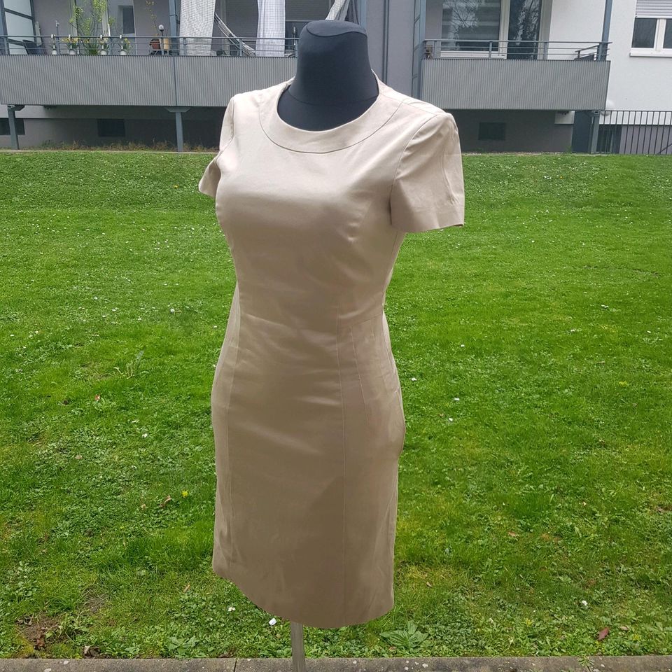 Strenesse damen Kleid gr.34 beige Neu,95%Baumwolle+5%Elasthan in Frankfurt am Main