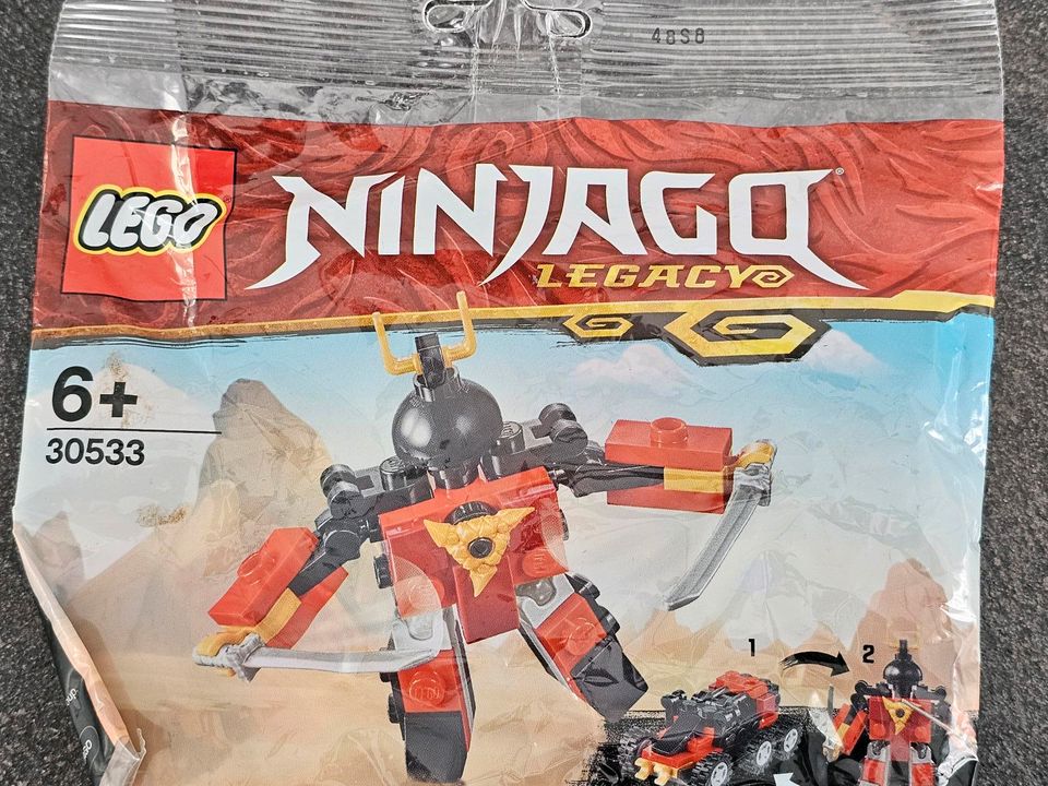 Lego ninjago 30533 Neu ungeöffnet in Wadersloh
