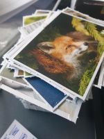 REWE - WILDE HELDEN - AUS ALLEN STICKERN auswählen Hessen - Kronberg im Taunus Vorschau