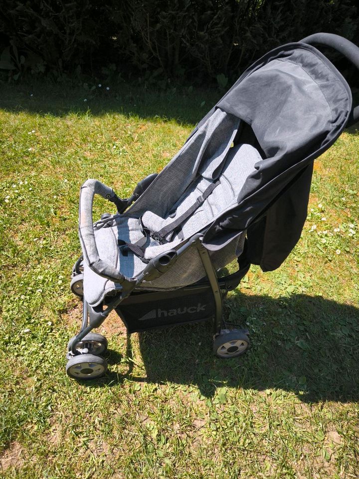 Buggy von Hauck in Bad Lauterberg im Harz