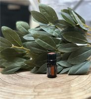 Doterra Arborvitae (Lebensbaum) Bayern - Pfaffing Vorschau