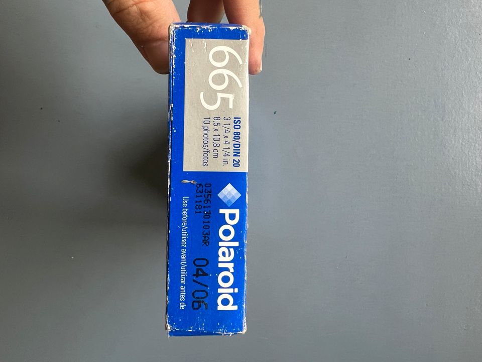 Polaroid 665 in Hamburg