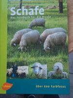 Fotobuch für die Praxis Schafe Rheinland-Pfalz - Rockenhausen Vorschau