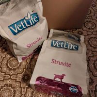 Hundefutter Vetlife Struvite 4kg Brandenburg - Rheinsberg Vorschau