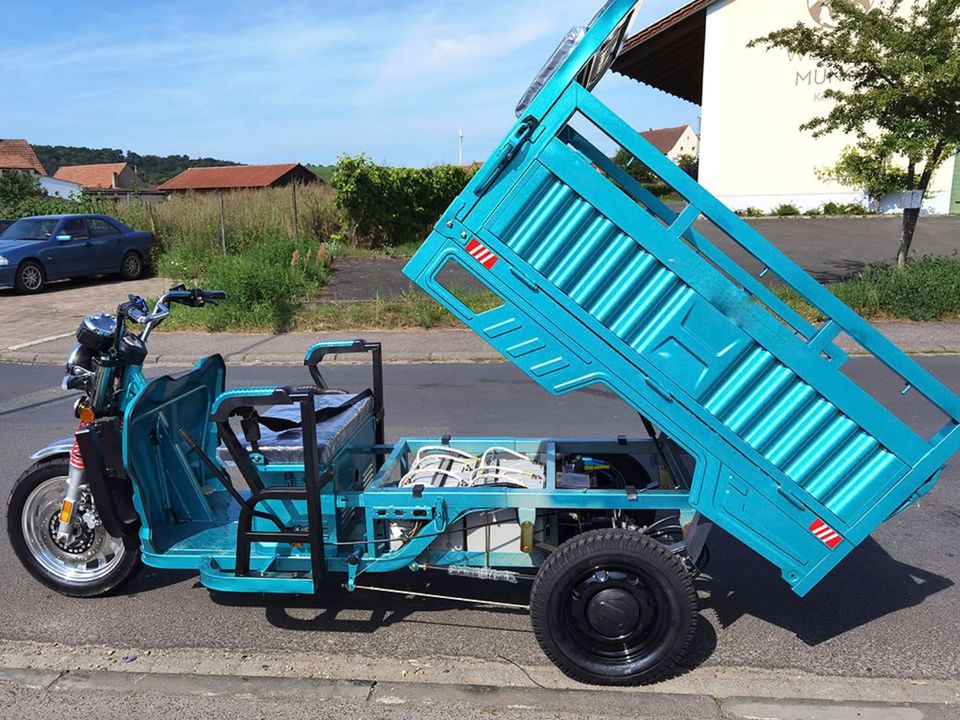 AMR Jinpeng Tuk Tuk  Cargo Muli 400 vs Elektrofrosch Dreirad in Lampertheim