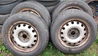 4x 215/60R16C Citroen Jumpy Peugeot Expert Stahlfelgen Nordrhein-Westfalen - Korschenbroich Vorschau