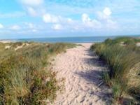 Ferienhaus Garten Strand Holland Niederland Zeeland familienfreun Nordrhein-Westfalen - Eschweiler Vorschau