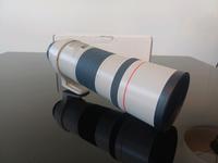 Objektiv Canon Lens EF 300mm 1:4 L IS TOP Zustand Schleswig-Holstein - Quarnbek Vorschau