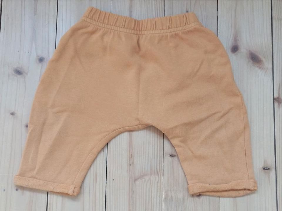 2 Hosen (Größe: 67cm) - Vertbaudet - Babykleidung in Östringen