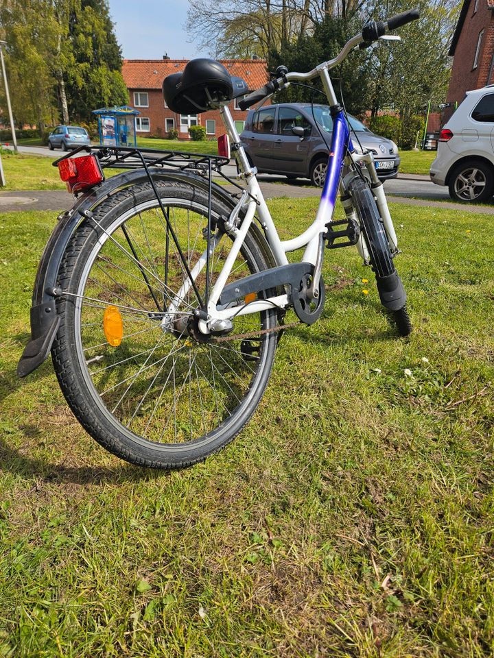 26'er Damen Fahrrad  der Marke Pegasus in Eckernförde