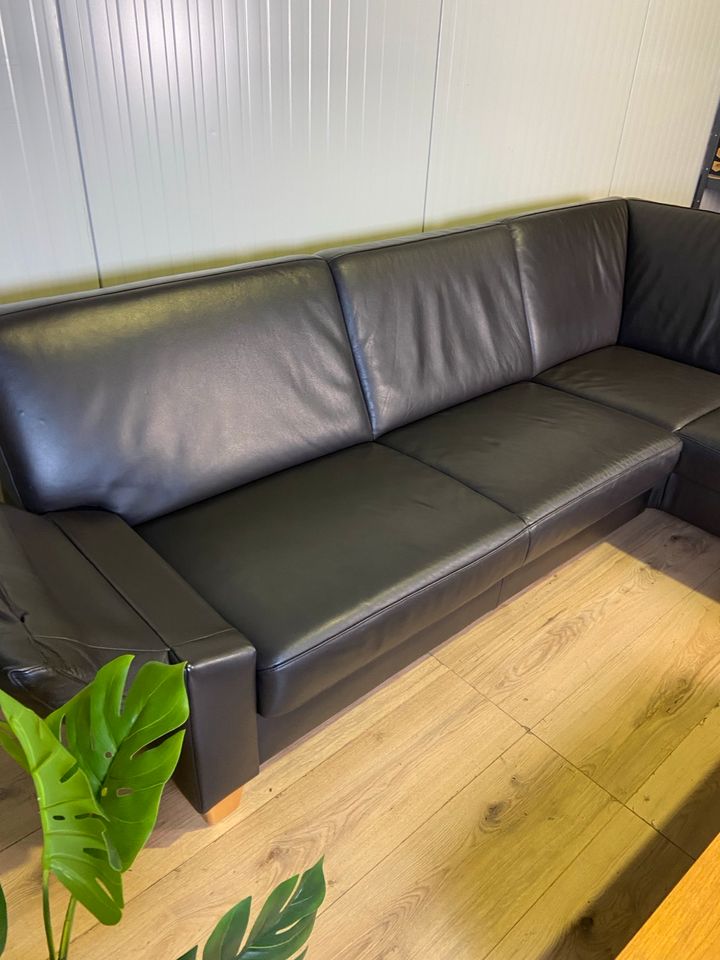 Ledersofa Schillig Ledercouch Lederecksofa Schlafsofa Sofa Couch in Paderborn