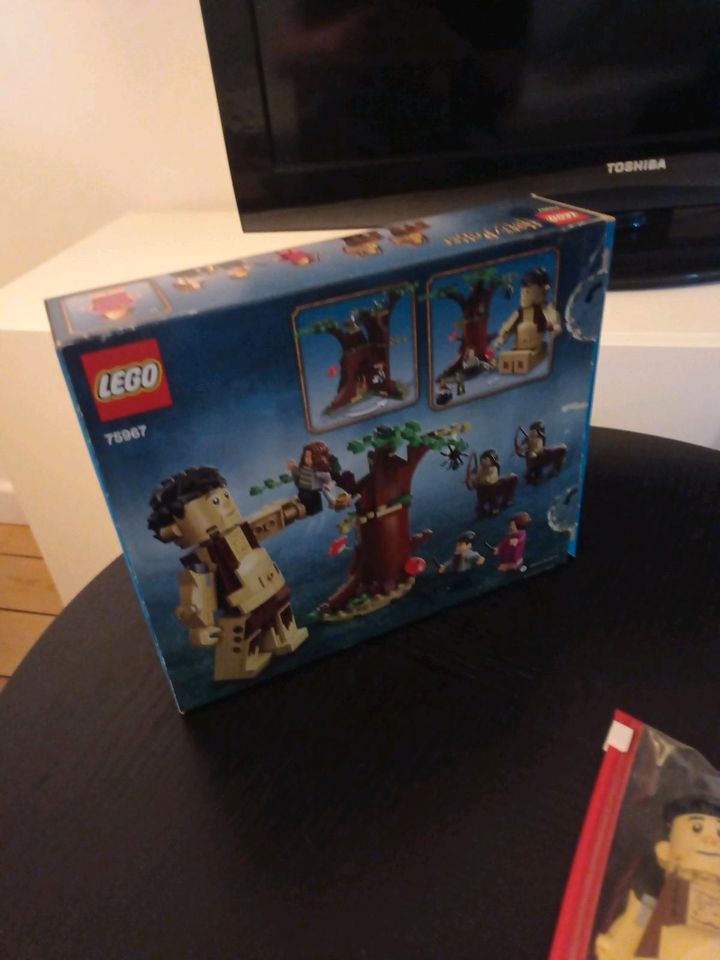 Lego Harry Potter Verbotener Wald in Hamburg