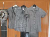 2x H&M Karobluse , 1x Bluse v. Gina, neuwertig Rheinland-Pfalz - Sinzig Vorschau