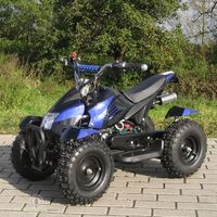 ATV Kinderquad Pocketquad Miniquad blau Pocket 49cc E-Start *NEU* Brandenburg - Cottbus Vorschau