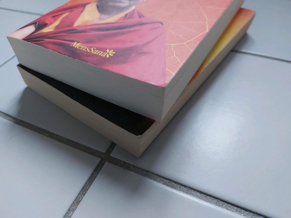 Matthieu Ricard 3 Bücher Glück und Der Mönch und der Philosoph in Berlin