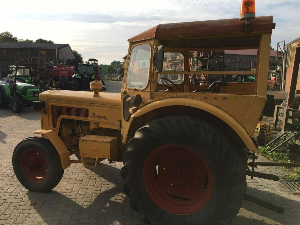 Hanomag Robust 800 in Hamersen