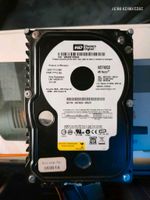 74GB Western Digital WD Raptor WD740GD SATA Berlin - Marzahn Vorschau