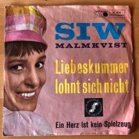 Schallplatte Vinyl Baden-Württemberg - Schelklingen Vorschau