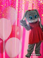 Hasen Maskottchen Party Baden-Württemberg - Bruchsal Vorschau