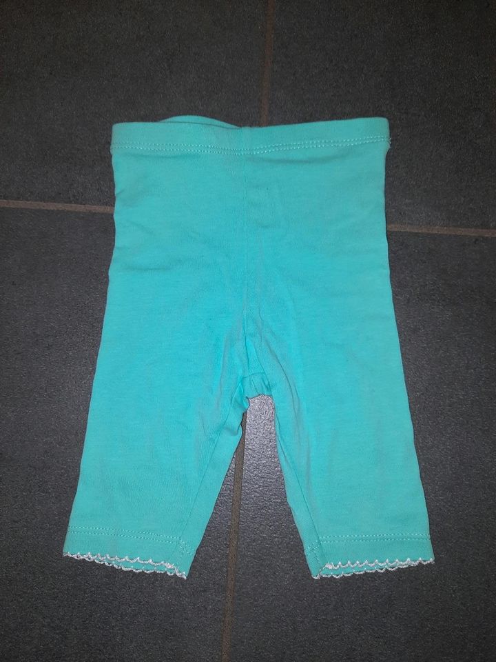 Tom Tailor Baby Capri Leggings * 3/4 Hose türkis * süß * NEU * in Rees