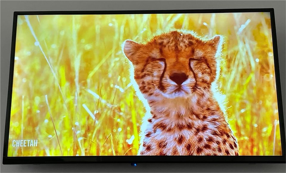 50 Zoll Fernseher Smart TV NEU und Unbenutzt in Berlin